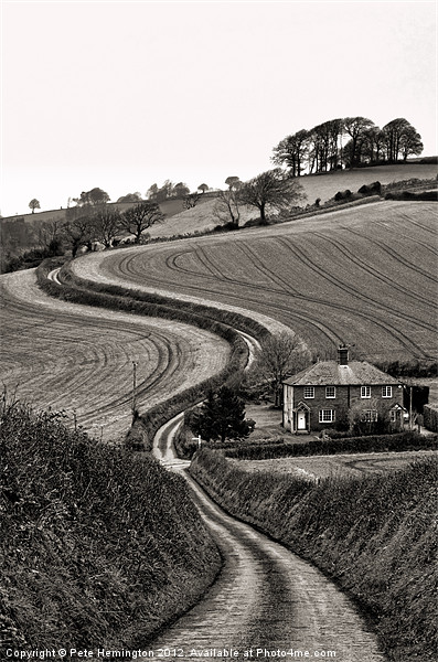 Rural Devon Picture Board by Pete Hemington