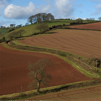 Buy canvas prints of Red soil by Pete Hemington