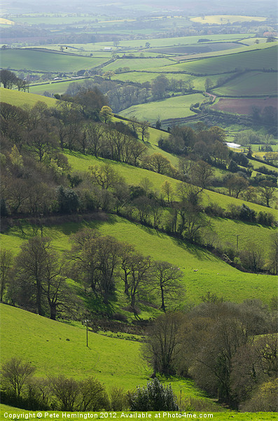 Devon fields Picture Board by Pete Hemington