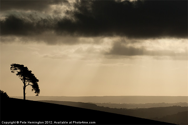 Raddon hilltop at dawn Picture Board by Pete Hemington