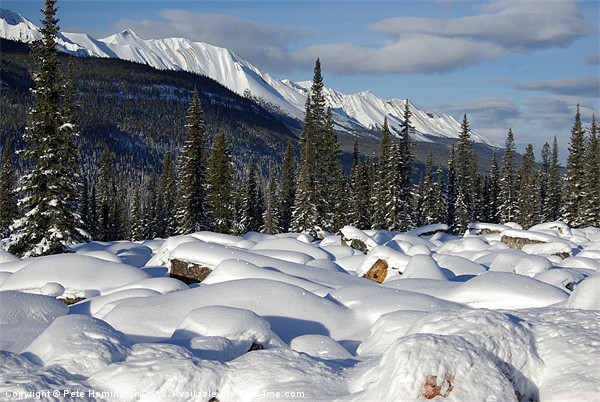 Rockies in Alberta Picture Board by Pete Hemington