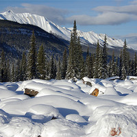 Buy canvas prints of Rockies in Alberta by Pete Hemington