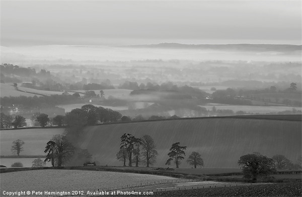Mid Devon morning - 1 of 2 Picture Board by Pete Hemington