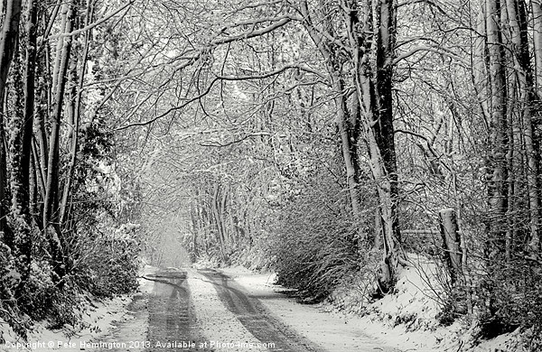 Snowy lane - in mono Picture Board by Pete Hemington