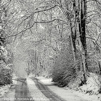 Buy canvas prints of Snowy lane - in mono by Pete Hemington