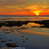 Buy canvas prints of Sunrise at Ladram bay by Pete Hemington