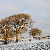 Buy canvas prints of Raddon in the snow by Pete Hemington