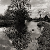 Buy canvas prints of Grand Western Canal - Tiverton by Pete Hemington