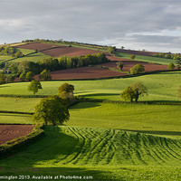 Buy canvas prints of Devon Rural scene by Pete Hemington