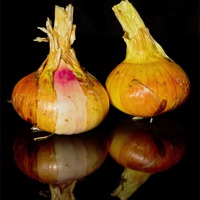 Buy canvas prints of Onions by Pete Hemington