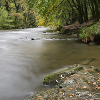Buy canvas prints of River Barle Exmoor by Pete Hemington