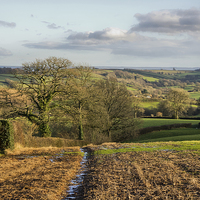 Buy canvas prints of Farmland in Mid Devon by Pete Hemington