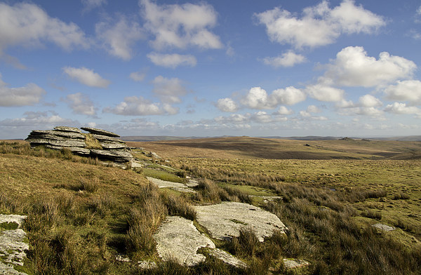 Lydford Tor on Dartmoor Picture Board by Pete Hemington