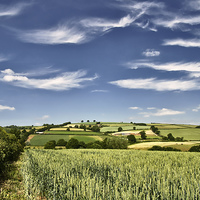 Buy canvas prints of Wispy clouds over caseberry downs by Pete Hemington
