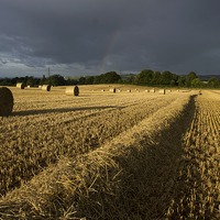 Buy canvas prints of  Straw bales and sunlight by Pete Hemington