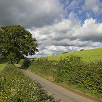 Buy canvas prints of  Rural Devon lane by Pete Hemington