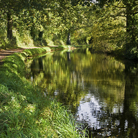 Buy canvas prints of  Grand Western Canal Tiverton by Pete Hemington