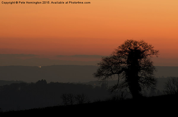  Lone tree and Mid Devon sunset Picture Board by Pete Hemington