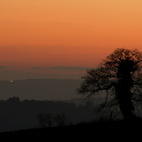 Buy canvas prints of  Lone tree and Mid Devon sunset by Pete Hemington