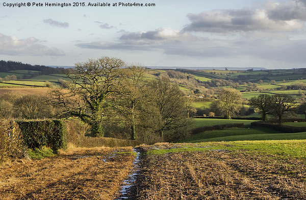  Rural Mid Devon Picture Board by Pete Hemington