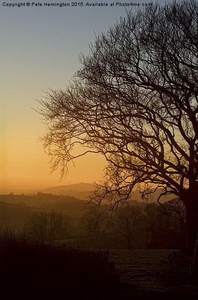 Raddon Hill at sunset Picture Board by Pete Hemington