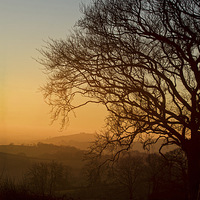 Buy canvas prints of Raddon Hill at sunset by Pete Hemington