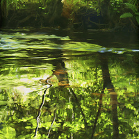 Buy canvas prints of  River Bovey by Pete Hemington