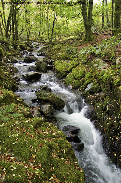 River Lyd on Dartmoor Picture Board by Pete Hemington