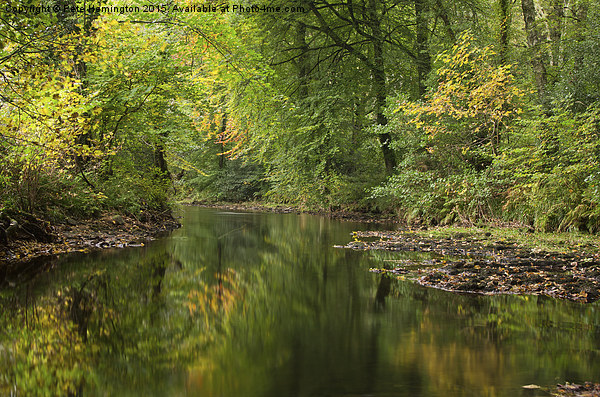  River Teign on Dartmoor Picture Board by Pete Hemington