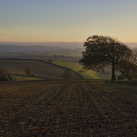 Buy canvas prints of Exe valley from Bidwell Cross by Pete Hemington