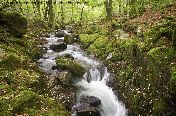 River Lyd on Dartmoor Picture Board by Pete Hemington