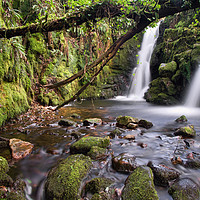 Buy canvas prints of Venford Waterfall on Dartmoor by Pete Hemington