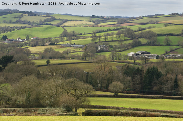 The Burne Valley in Devon Picture Board by Pete Hemington