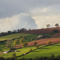Buy canvas prints of Caseberry Downs in Devon by Pete Hemington