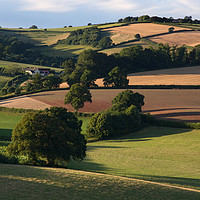 Buy canvas prints of Yarde Downs from Hele Payne by Pete Hemington