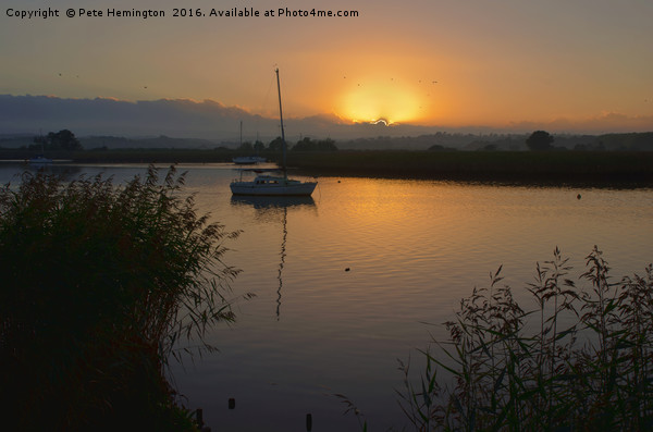 Sunset on Exe Estuary at Topsham in Devon Picture Board by Pete Hemington