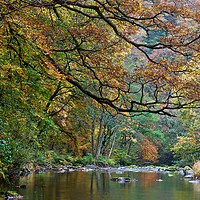 Buy canvas prints of River Barle in Somerset by Pete Hemington