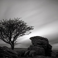 Buy canvas prints of Holwell Tor and Lone tree on Dartmoor by Pete Hemington