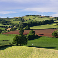 Buy canvas prints of Yarde Downs from Hele Payne by Pete Hemington