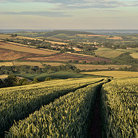 Buy canvas prints of The Exe Valley by Pete Hemington