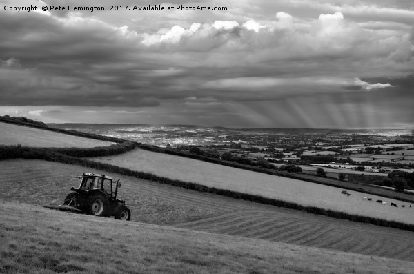 Hay making in Mid Devon Picture Board by Pete Hemington