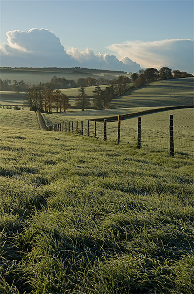 Frosted fields in Mid Devon Picture Board by Pete Hemington