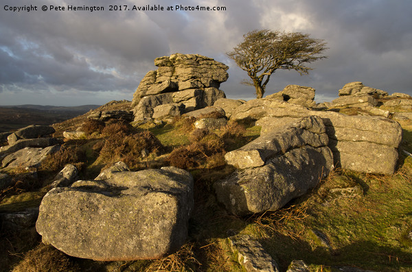 Holwell Tor on Dartmoor Picture Board by Pete Hemington