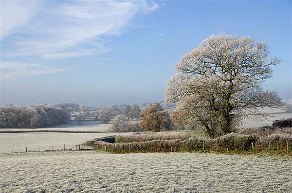 Frosty morning in Devon Picture Board by Pete Hemington