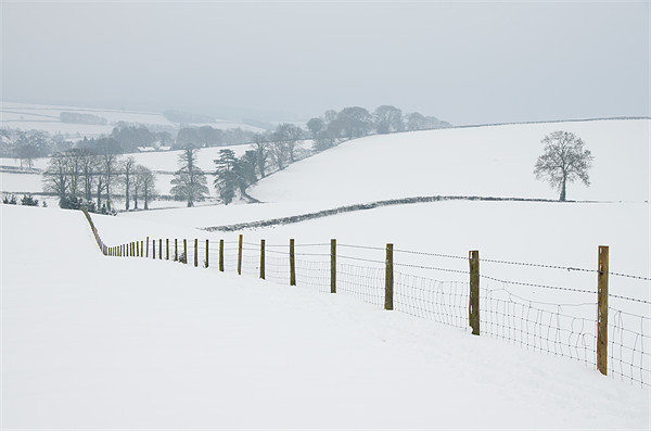 Snowy fields Picture Board by Pete Hemington