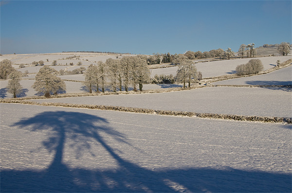 Snowy farm fields Picture Board by Pete Hemington