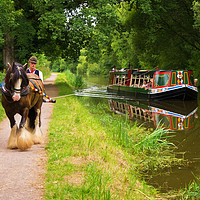 Buy canvas prints of Horse and Barge by Pete Hemington
