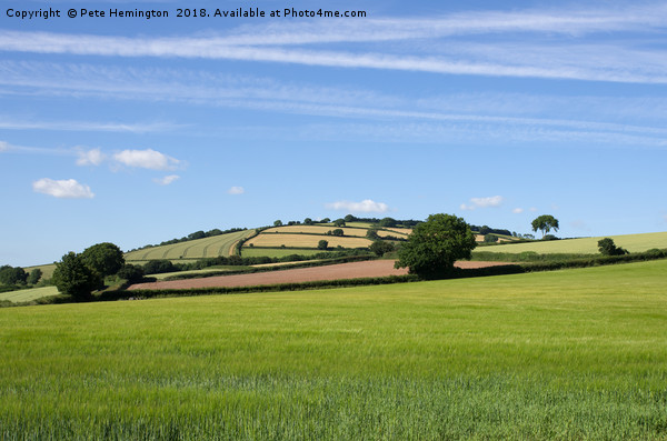 Rural Devon Scene Picture Board by Pete Hemington