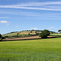 Buy canvas prints of Rural Devon Scene by Pete Hemington
