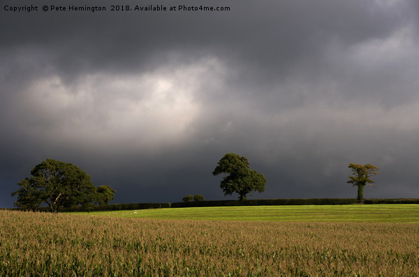 Storm brewing over Devon Picture Board by Pete Hemington